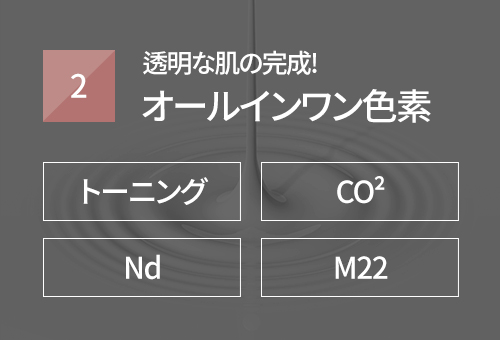 토닝 + CO2 + Nd + M22